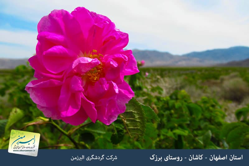 media/plg_solidres_experience/images/a944d66d3c976eb00f610c3263a377b1/esfahan/barzok/golab-giri-2.jpg